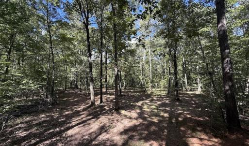 Photo #8 of 1945 Bolton Road, Rich Square, NC 90.3 acres