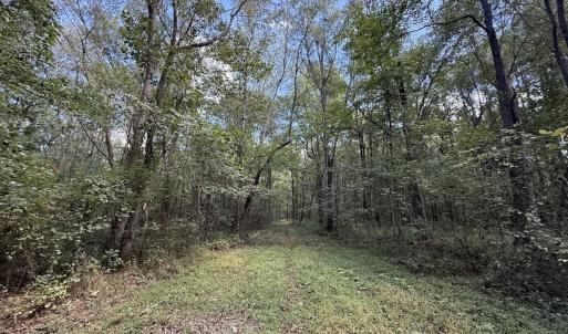 Photo #23 of 1945 Bolton Road, Rich Square, NC 90.3 acres