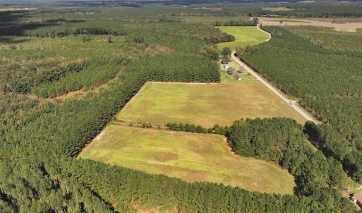 Photo #25 of 1945 Bolton Road, Rich Square, NC 90.3 acres