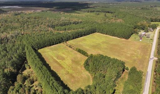 Photo #26 of 1945 Bolton Road, Rich Square, NC 90.3 acres