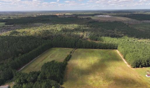 Photo #27 of 1945 Bolton Road, Rich Square, NC 90.3 acres
