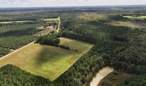 Photo #30 of 1945 Bolton Road, Rich Square, NC 90.3 acres