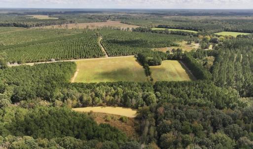 Photo #31 of 1945 Bolton Road, Rich Square, NC 90.3 acres