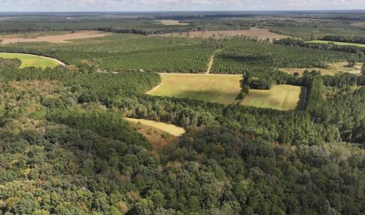 Photo #32 of 1945 Bolton Road, Rich Square, NC 90.3 acres