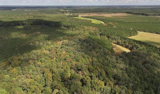 Photo #33 of 1945 Bolton Road, Rich Square, NC 90.3 acres