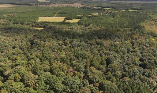 Photo #34 of 1945 Bolton Road, Rich Square, NC 90.3 acres