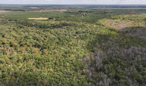 Photo #35 of 1945 Bolton Road, Rich Square, NC 90.3 acres
