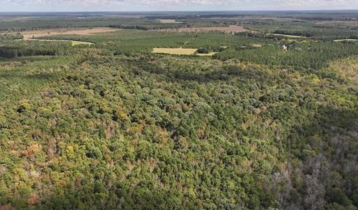 Photo #36 of 1945 Bolton Road, Rich Square, NC 90.3 acres