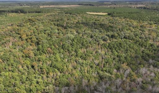 Photo #37 of 1945 Bolton Road, Rich Square, NC 90.3 acres