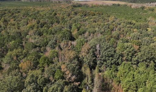 Photo #40 of 1945 Bolton Road, Rich Square, NC 90.3 acres