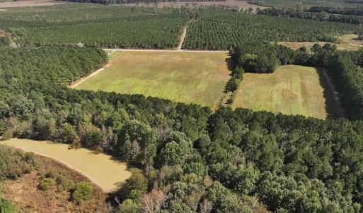 Photo #41 of 1945 Bolton Road, Rich Square, NC 90.3 acres