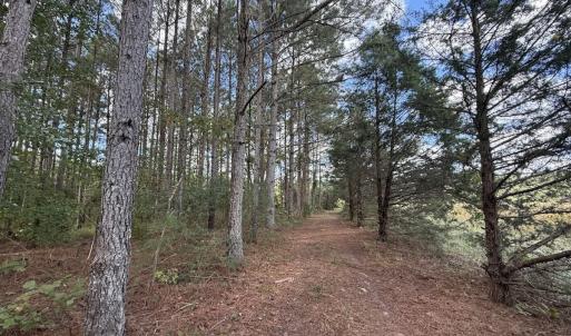 Photo #44 of 1945 Bolton Road, Rich Square, NC 90.3 acres