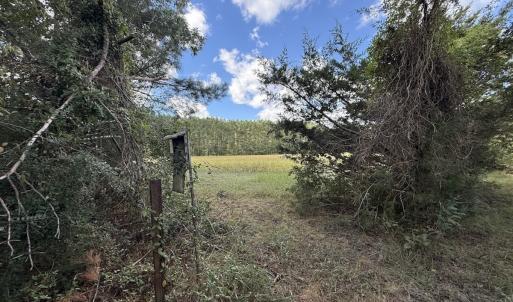 Photo #46 of 1945 Bolton Road, Rich Square, NC 90.3 acres