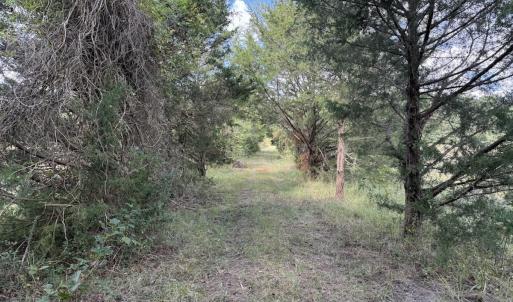 Photo #47 of 1945 Bolton Road, Rich Square, NC 90.3 acres