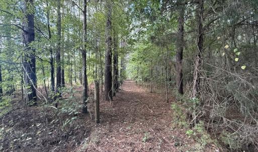 Photo #49 of 1945 Bolton Road, Rich Square, NC 90.3 acres