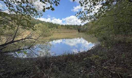 Photo #50 of 1945 Bolton Road, Rich Square, NC 90.3 acres
