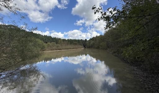 Photo #51 of 1945 Bolton Road, Rich Square, NC 90.3 acres