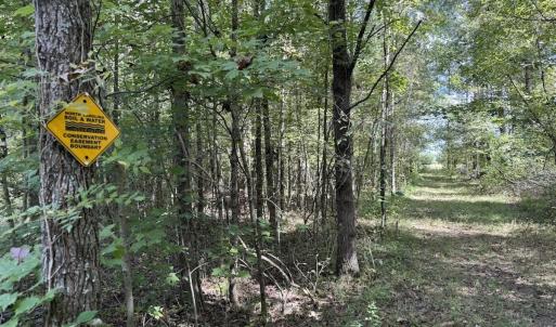 Photo #53 of 1945 Bolton Road, Rich Square, NC 90.3 acres