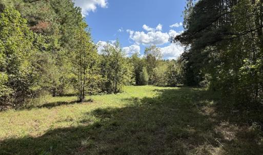 Photo #54 of 1945 Bolton Road, Rich Square, NC 90.3 acres