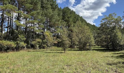 Photo #55 of 1945 Bolton Road, Rich Square, NC 90.3 acres