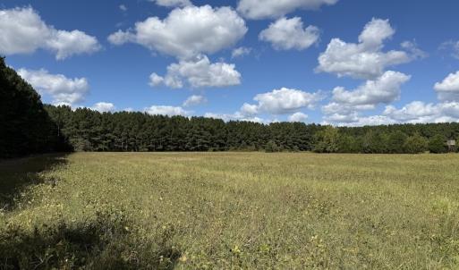 Photo #58 of 1945 Bolton Road, Rich Square, NC 90.3 acres