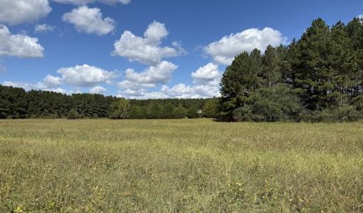 Photo #59 of 1945 Bolton Road, Rich Square, NC 90.3 acres