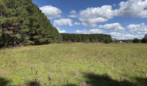 Photo #60 of 1945 Bolton Road, Rich Square, NC 90.3 acres