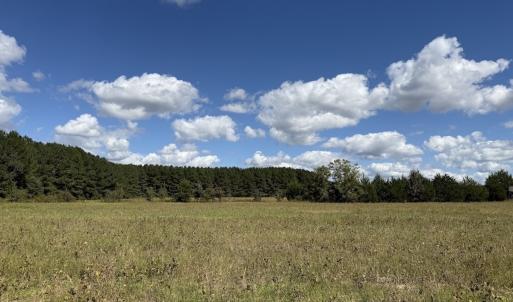 Photo #61 of 1945 Bolton Road, Rich Square, NC 90.3 acres