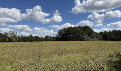 Photo #62 of 1945 Bolton Road, Rich Square, NC 90.3 acres
