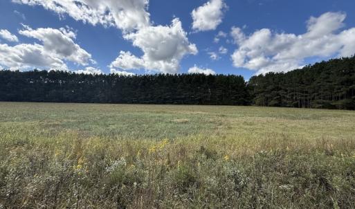 Photo #63 of 1945 Bolton Road, Rich Square, NC 90.3 acres