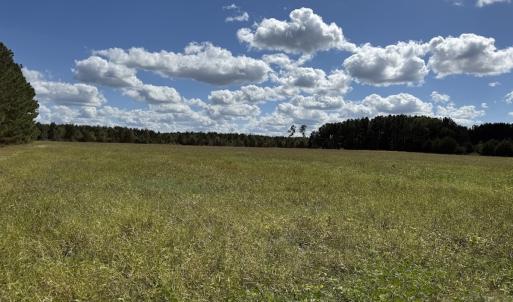 Photo #65 of 1945 Bolton Road, Rich Square, NC 90.3 acres