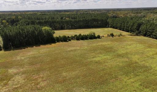 Photo #66 of 1945 Bolton Road, Rich Square, NC 90.3 acres