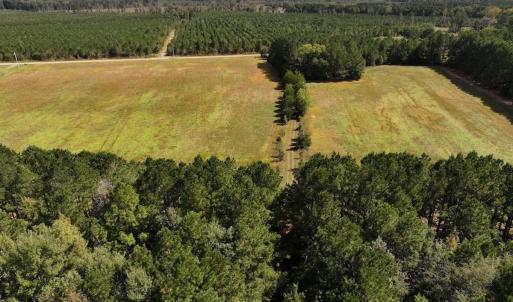 Photo #67 of 1945 Bolton Road, Rich Square, NC 90.3 acres