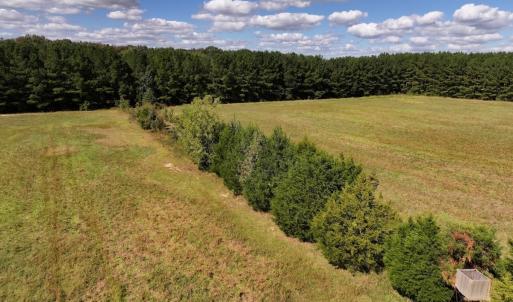 Photo #69 of 1945 Bolton Road, Rich Square, NC 90.3 acres