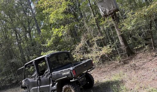 Photo #70 of 1945 Bolton Road, Rich Square, NC 90.3 acres