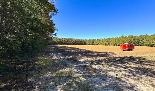 Photo #2 of Off Cypress Chapel Rd, Whaleyville, VA 45.5 acres