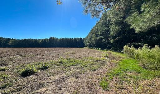 Photo #14 of Off Cypress Chapel Rd, Whaleyville, VA 45.5 acres