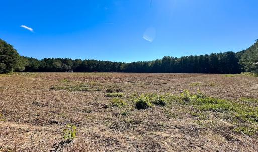 Photo #18 of Off Cypress Chapel Rd, Whaleyville, VA 45.5 acres