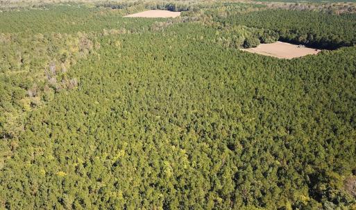 Photo #22 of Off Cypress Chapel Rd, Whaleyville, VA 45.5 acres
