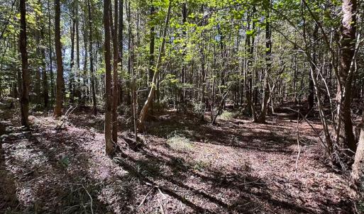 Photo #31 of Off Cypress Chapel Rd, Whaleyville, VA 45.5 acres