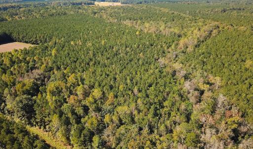Photo #38 of Off Cypress Chapel Rd, Whaleyville, VA 45.5 acres