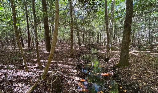 Photo #39 of Off Cypress Chapel Rd, Whaleyville, VA 45.5 acres