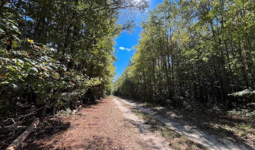 Photo #2 of Off Cypress Chapel Rd, Whaleyville, VA 14.9 acres