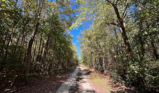 Photo #8 of Off Cypress Chapel Rd, Whaleyville, VA 14.9 acres