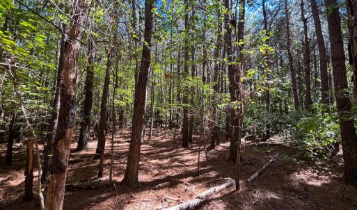 Photo #12 of Off Cypress Chapel Rd, Whaleyville, VA 14.9 acres