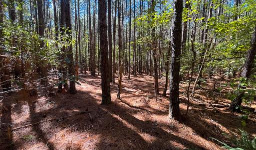 Photo #15 of Off Cypress Chapel Rd, Whaleyville, VA 14.9 acres
