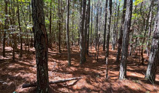 Photo #21 of Off Cypress Chapel Rd, Whaleyville, VA 14.9 acres