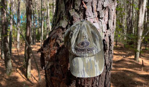Photo #24 of Off Cypress Chapel Rd, Whaleyville, VA 14.9 acres