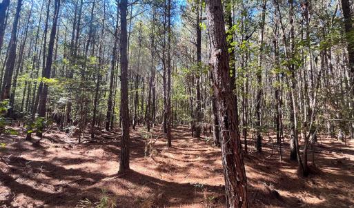 Photo #25 of Off Cypress Chapel Rd, Whaleyville, VA 14.9 acres