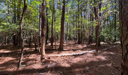 Photo #26 of Off Cypress Chapel Rd, Whaleyville, VA 14.9 acres